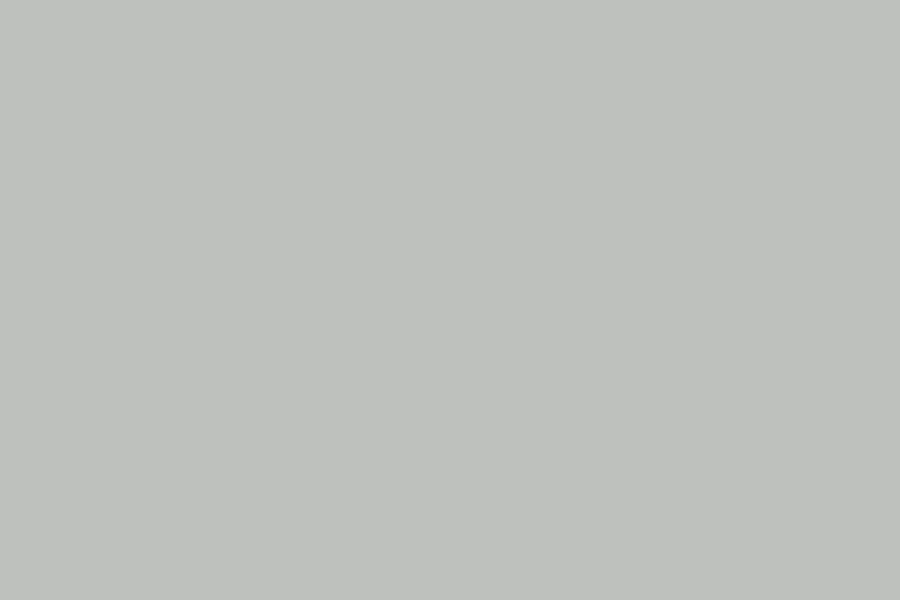 metallic grey colour
